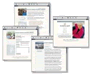 Internet Pages